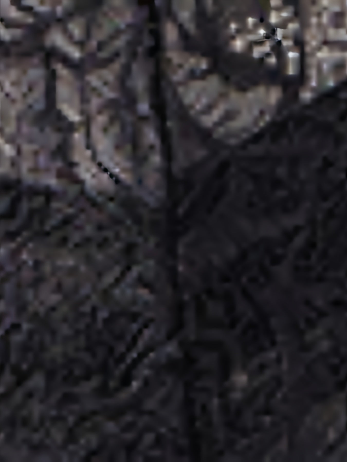 بوديسوت نسائي عصري