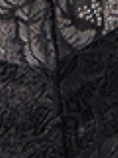 بوديسوت نسائي عصري